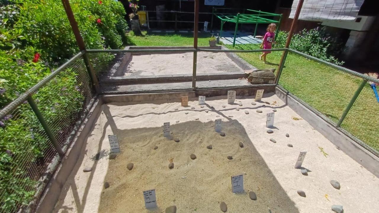 The Beach Bungalows & Turtle Sanctuary Pemuteran  Luaran gambar