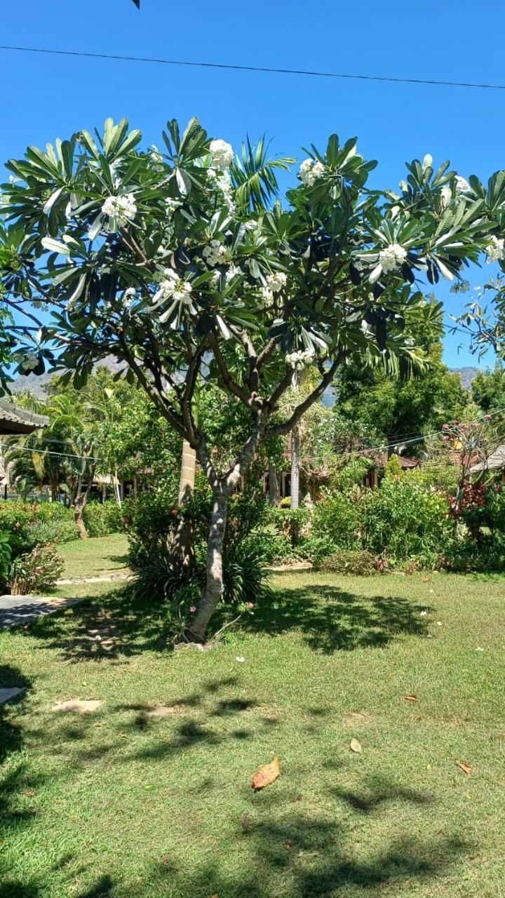 The Beach Bungalows & Turtle Sanctuary Pemuteran  Luaran gambar